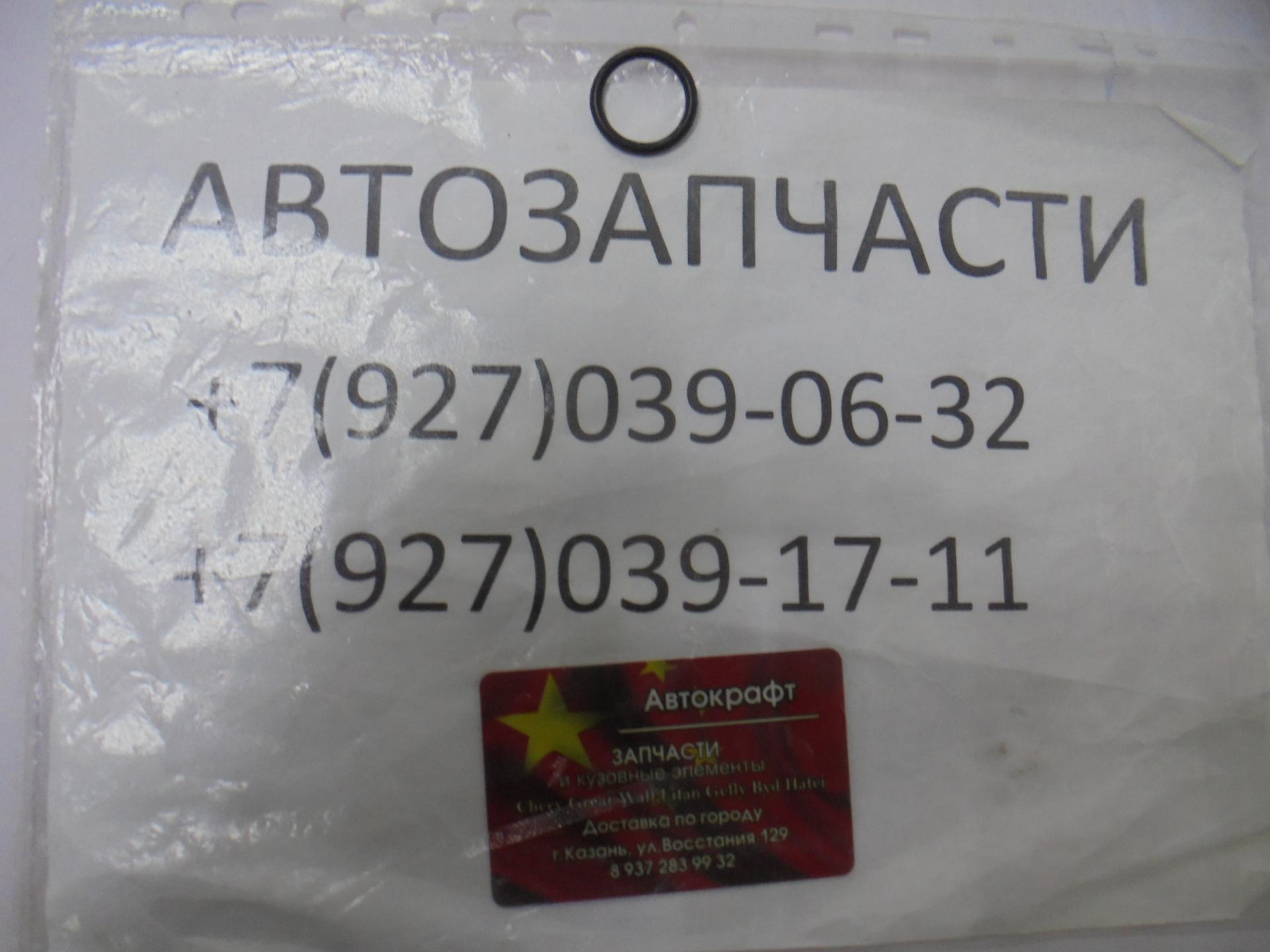 Уплотнительное кольцо Dong Feng S30 