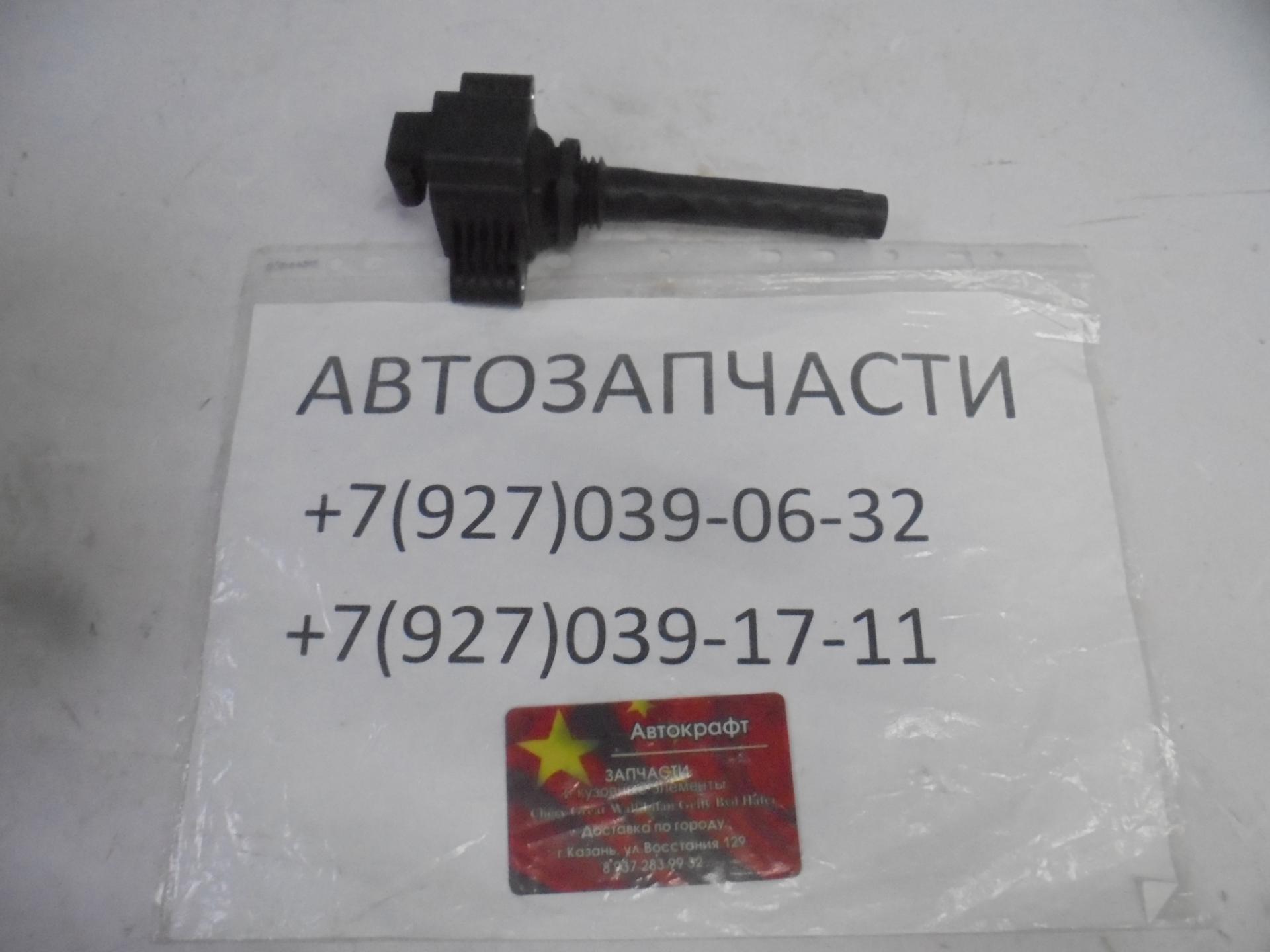 Катушка зажигания EXEED TXL