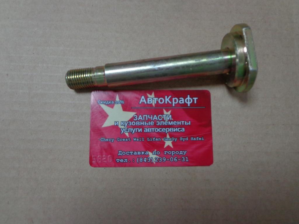Палец рессоры задней подвески BAW33463 Tonik Baw Fenix Tonik
